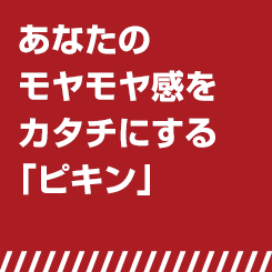 あなたのモヤモヤ感をカタチにするピキン